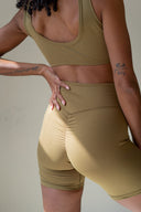 #color_olive-green