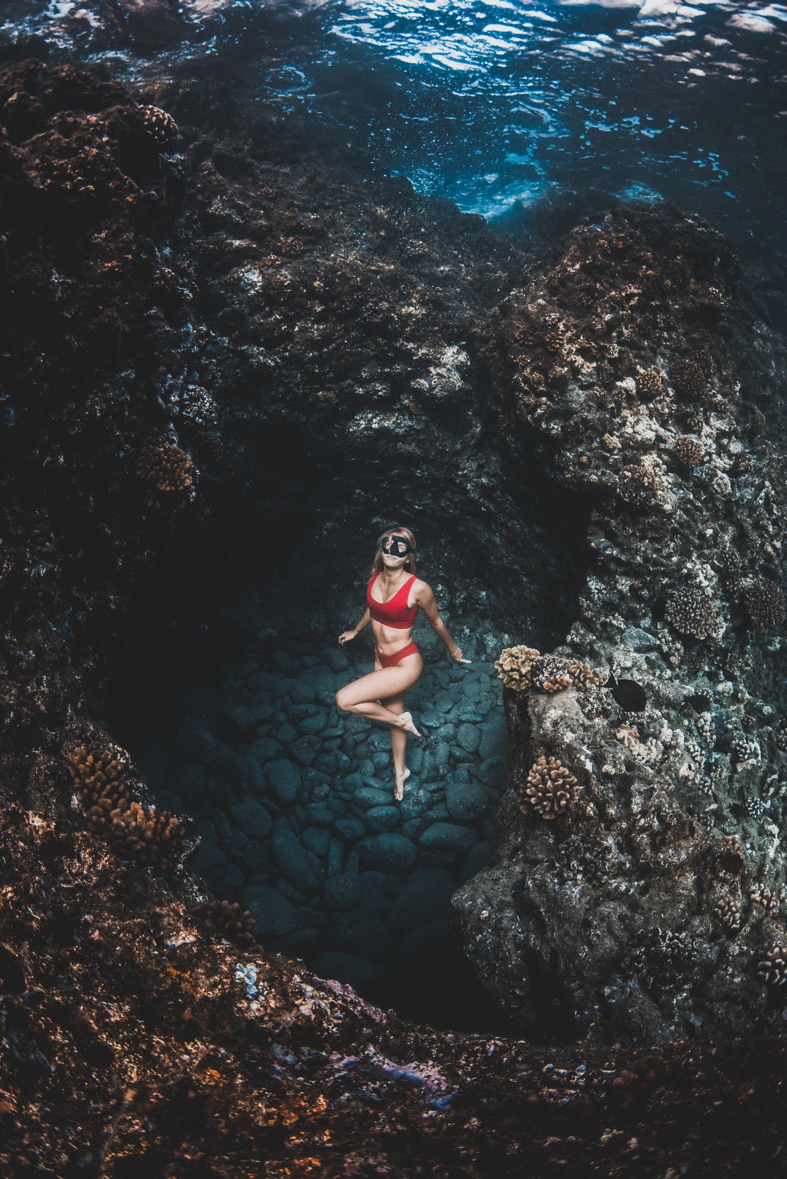 Plant a Coral