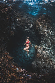 Plant a Coral
