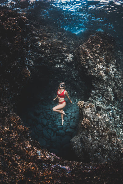 Plant a Coral